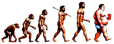 Evolution is Flawed